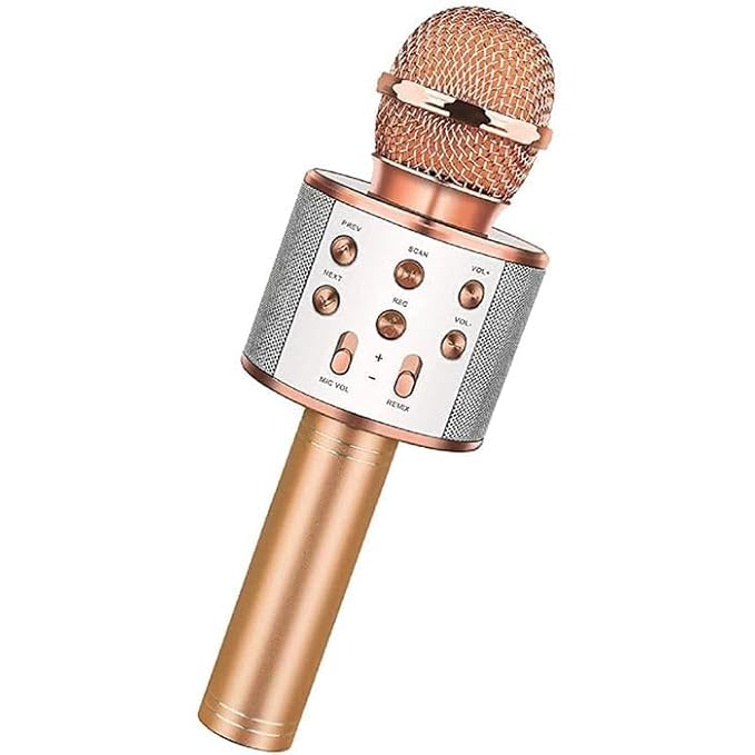 Wireless Bluetooth Mic with Speaker for Singing | Toddler Mike Toy for 3+ Year Old Boys & Girls | Birthday Gift